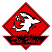 (c) Hsv-moelkau.de