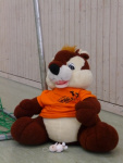impressionen_cdkh2010_3.jpg